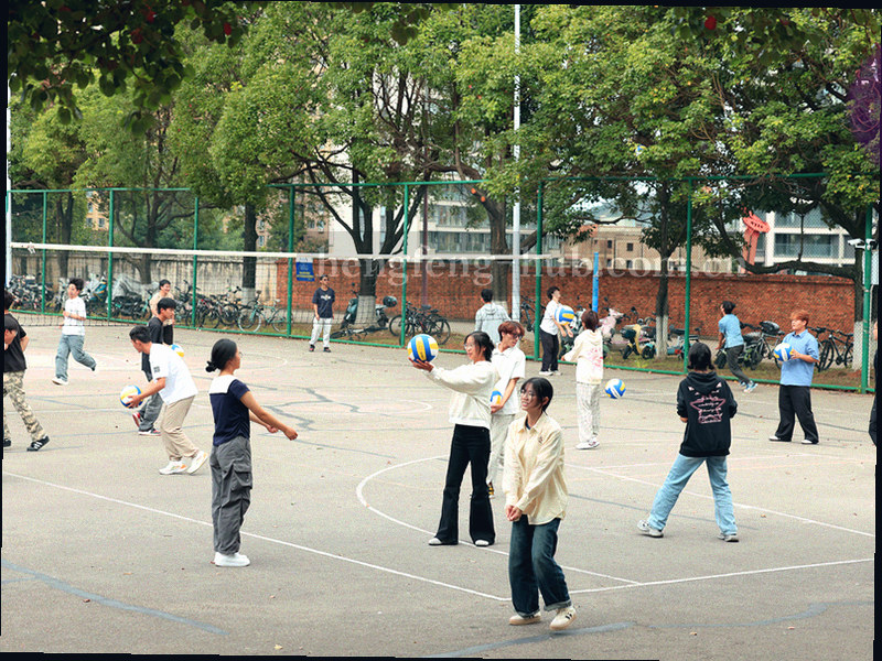 抽象地图切片与青瓷绿节点，表现服务网点覆盖范围的变化